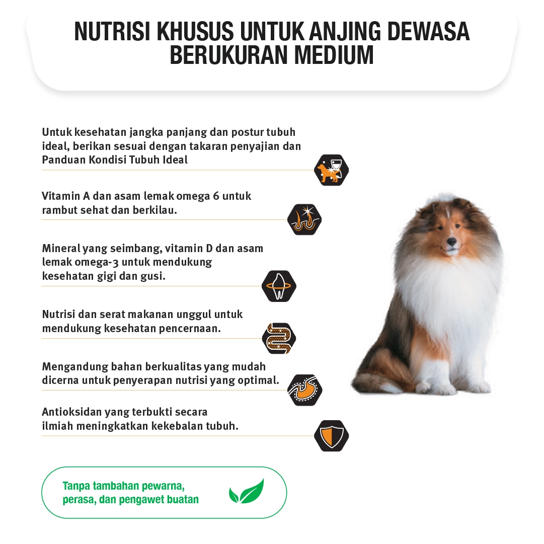 Purina Pro Plan Dog Medium Adult Chicken Formula 2.5 Kg (essential Health)