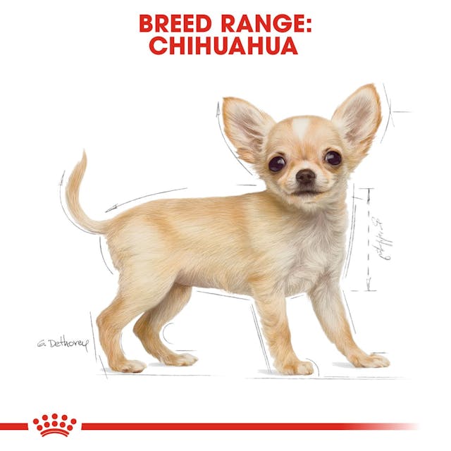 Royal Canin Dog Puppy Chihuahua 1.5 Kg