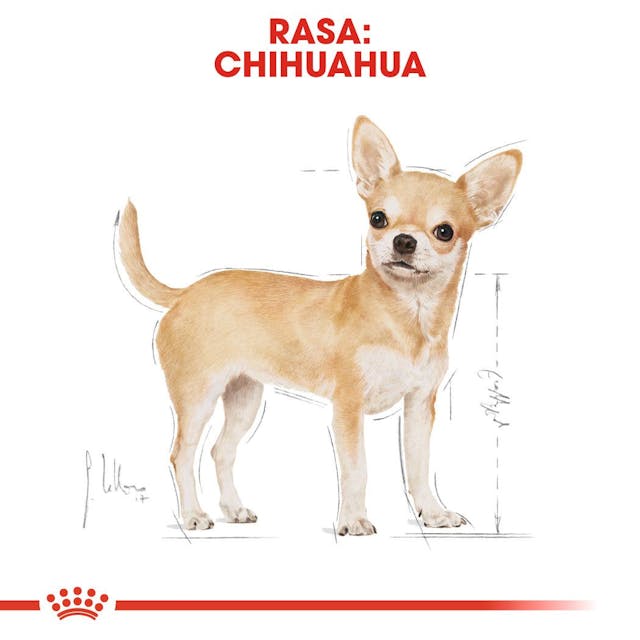 Royal Canin Dog Adult Chihuahua 1.5 Kg