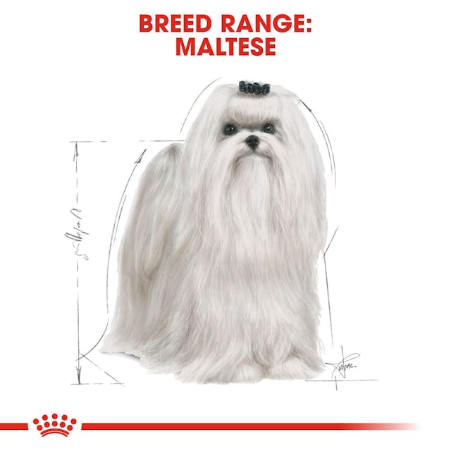 Royal Canin Dog Adult Maltese 1.5 Kg