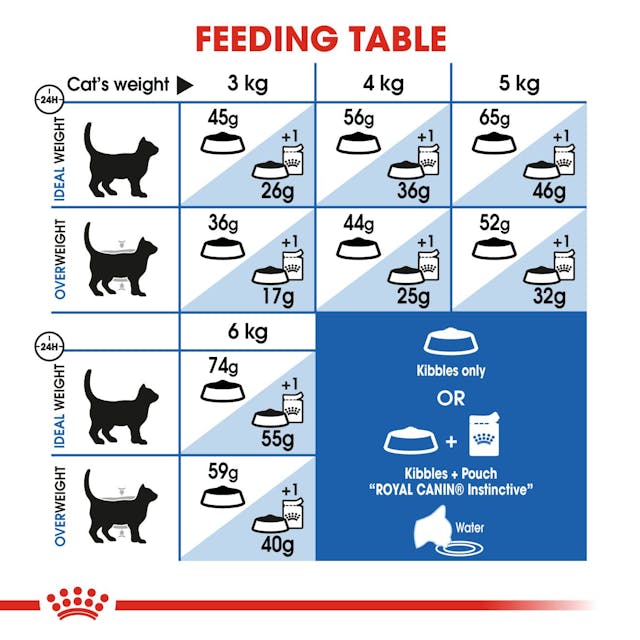 Royal Canin Cat Homelife Indoor 400 Gr