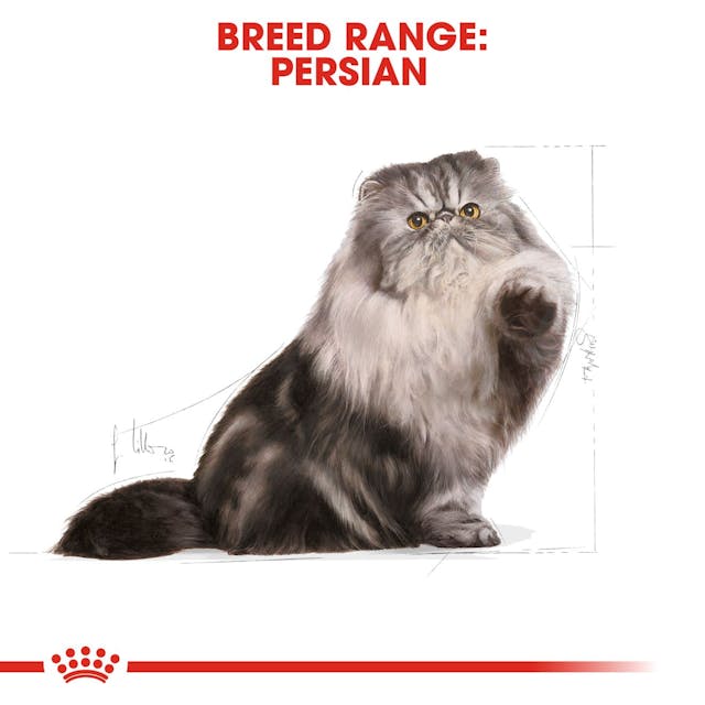 Royal Canin Cat Persian Adult 4 Kg