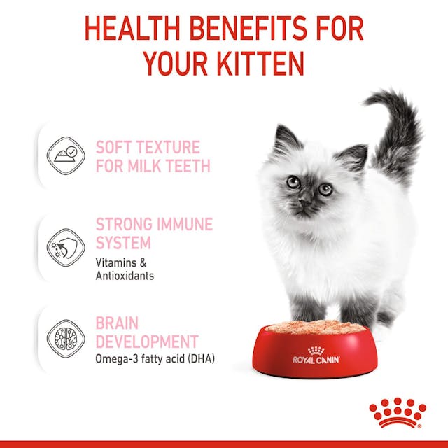 Royal Canin Wet Food Cat Kitten Pouch In Loaf