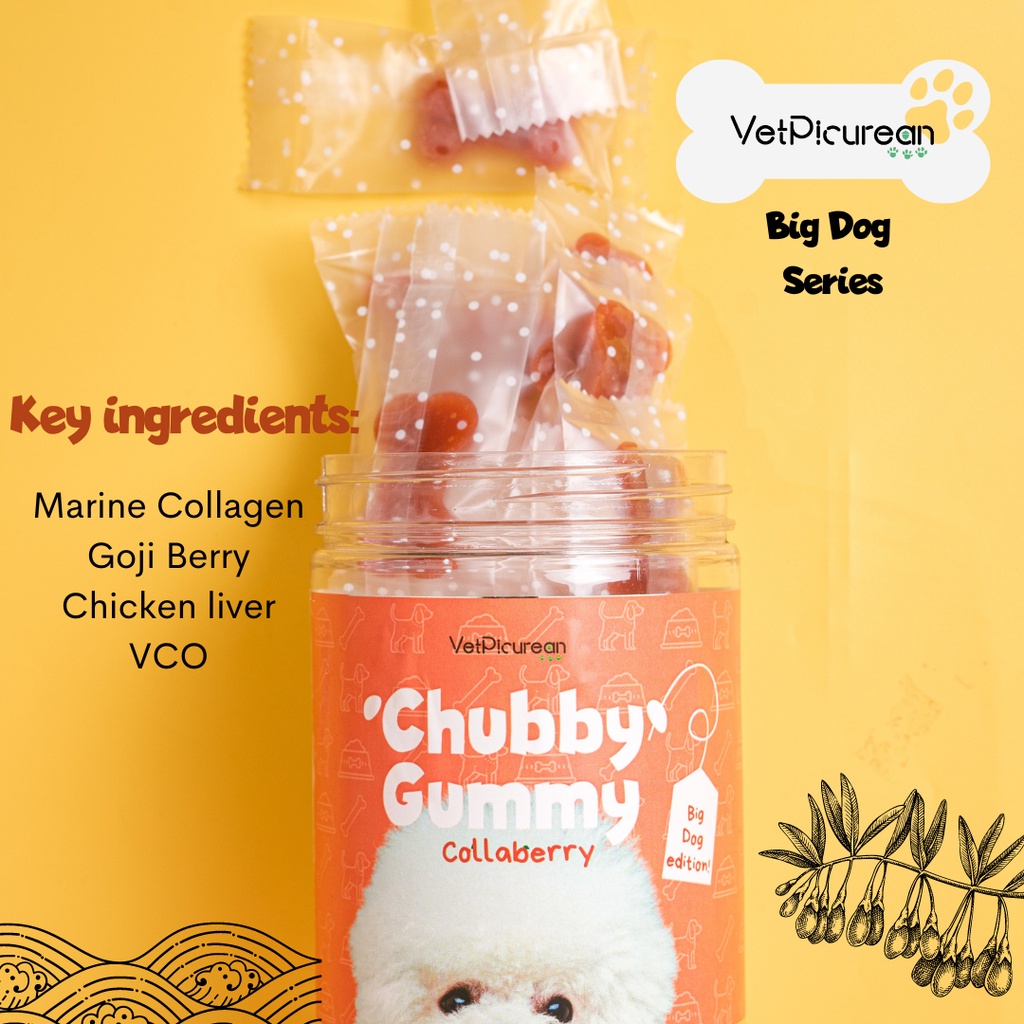 Vetpicurean Chubby Gummy Collabery Big Dog 18 Gummies