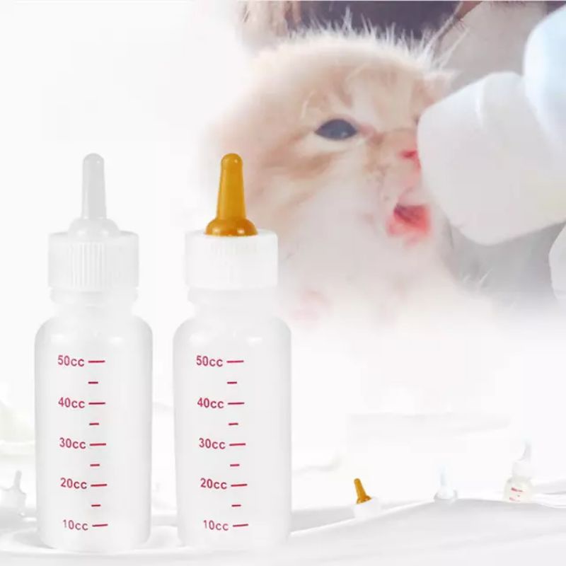 Botol Dot Kucing 60 Ml